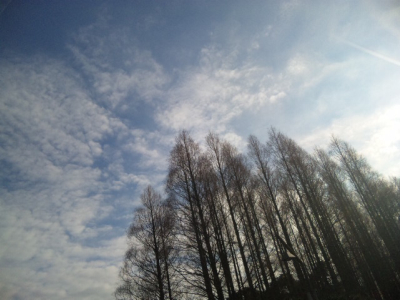 100130_091655.jpg