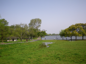 100429.jpg