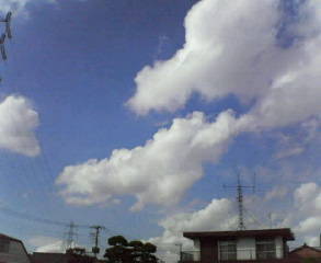 200809201424000.jpg