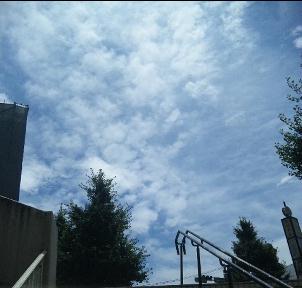 090713_122139_ed.jpg