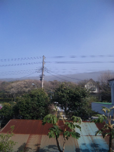 100321_141610.jpg