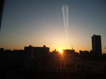 100330_054229.jpg
